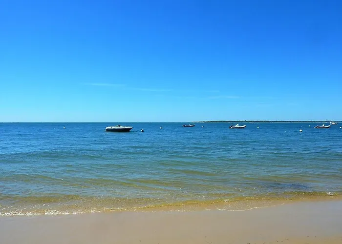 Lejlighed T2 Bis Renove A Centre Avec 2 Terrasses, Clim, Parking, Proche Et Gare. - Fr-1-420-84 *